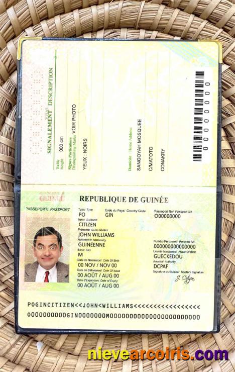 Guinea passport photolook